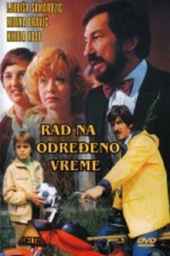 Part-Time Work movie poster