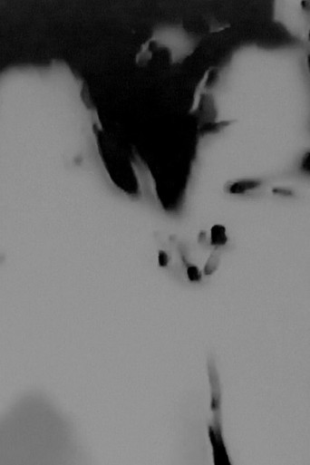 Witches Walk Monochrome movie poster