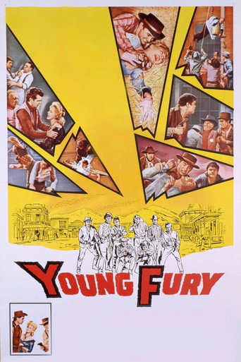 Young Fury movie poster