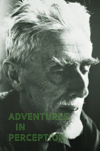 Adventures in Perception movie poster