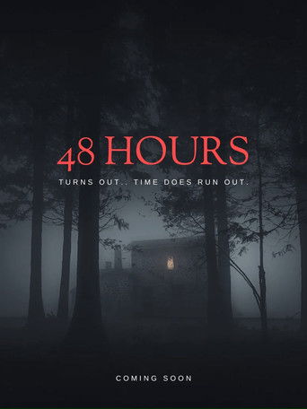 48 Hours movie poster