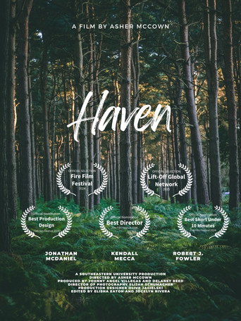 Haven movie poster