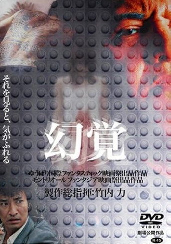 Hallucination movie poster