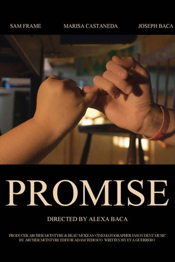Promise movie poster