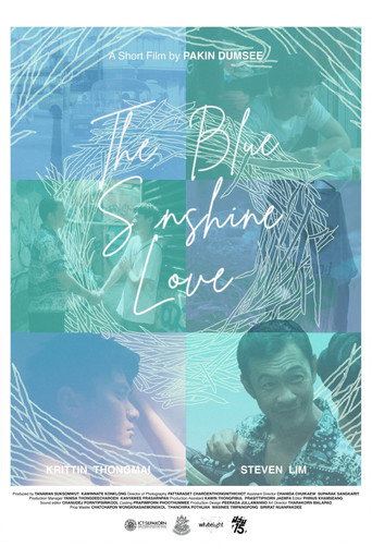 The Blue Sunshine Love movie poster