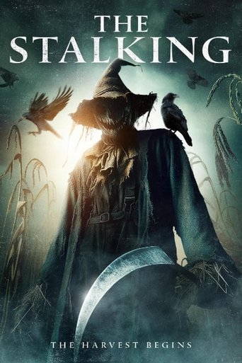 The Stalking movie poster