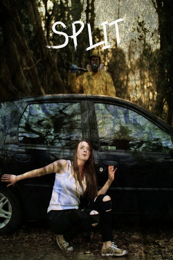 Split movie poster