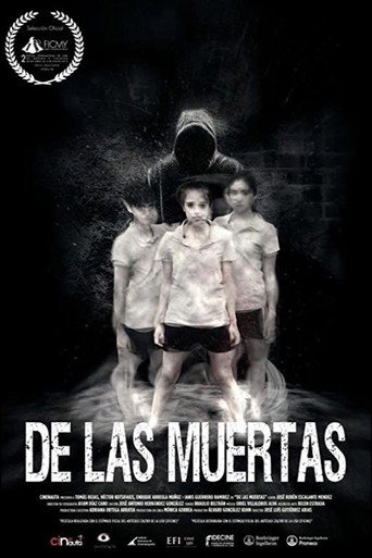 About the Deaths movie poster
