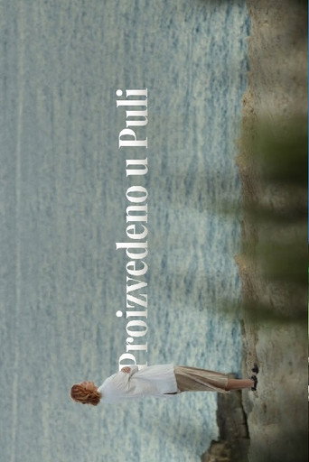 Made in Pula movie poster