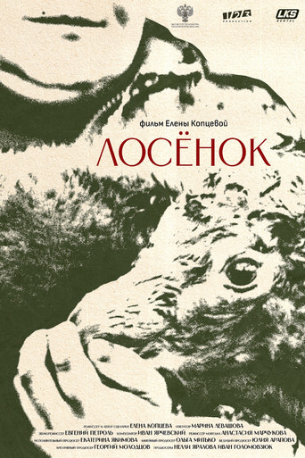 The Elk Calf movie poster