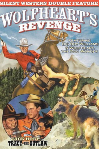 Tracy the Outlaw movie poster