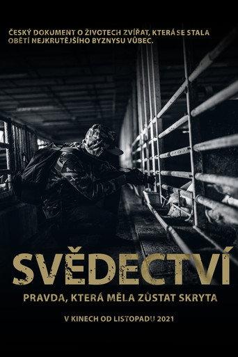 Svědectví: Pravda, která měla zůstat skryta movie poster
