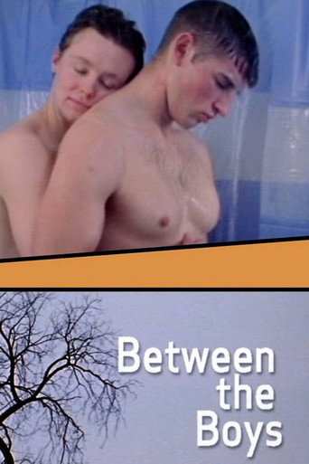 Between the Boys movie poster