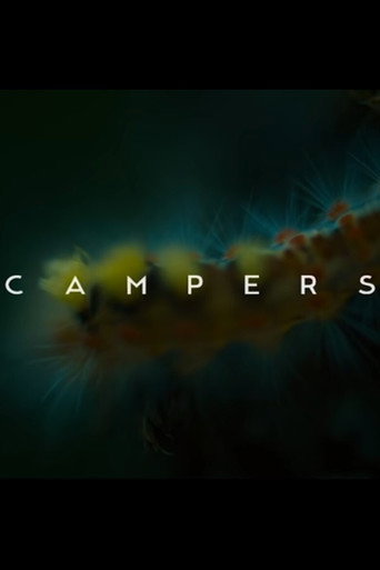 Campers movie poster
