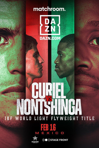 Adrian Curiel vs. Sivenathi Nontshinga II movie poster