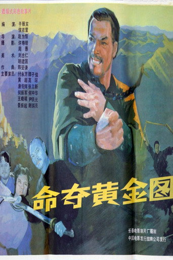命夺黄金图 movie poster