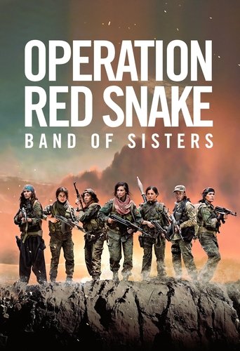 Sisters in Arms movie poster