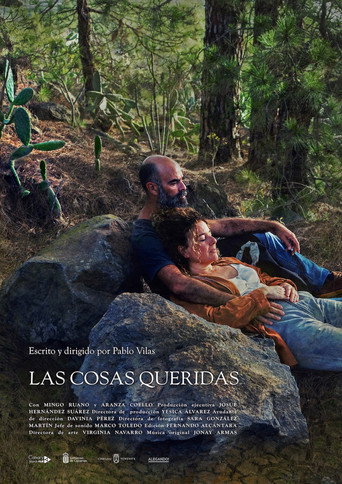 Las cosas queridas movie poster