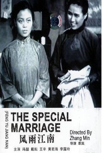 The Special Marriage movie poster