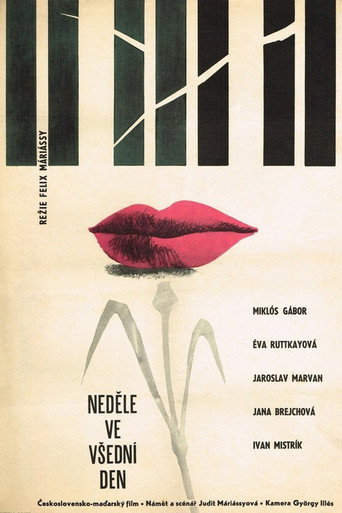 Every Day - Sunday movie poster