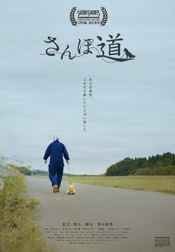 A Walk with You movie poster