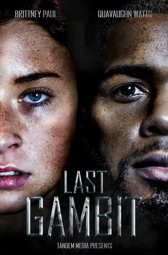 Last Gambit movie poster