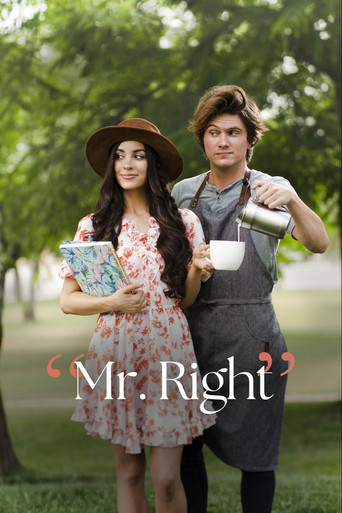 Mr. Right movie poster