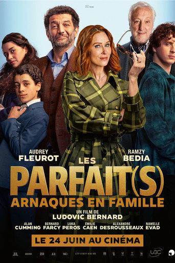 Les Parfait(s) : Arnaques en Famille movie poster