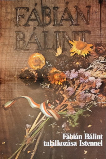 Bálint Fábián Meets God movie poster