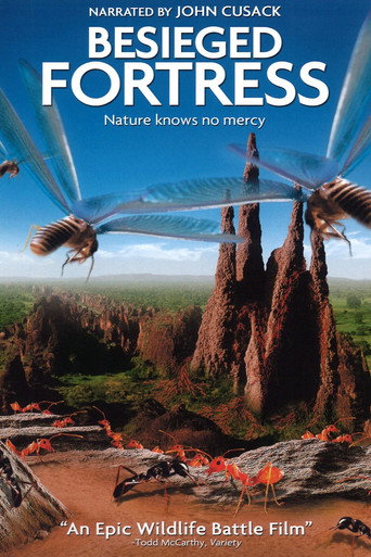 The Besieged Fortress movie poster