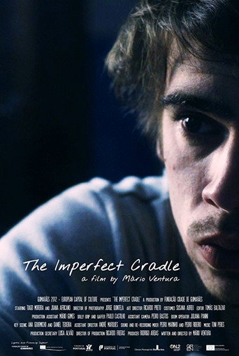 The Imperfect Cradle movie poster