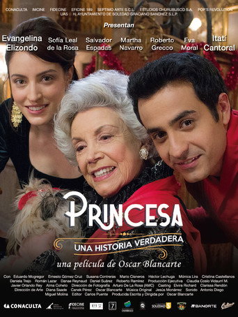 Princess, A True Story movie poster