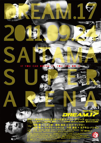 DREAM 17 movie poster