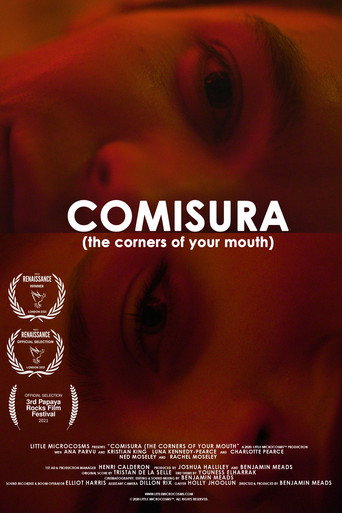 Comisura (The Corners of Your Mouth) movie poster