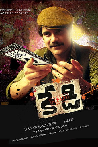 Kedi movie poster