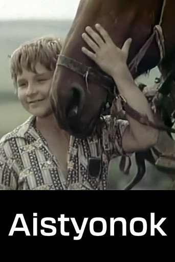 Little Stork movie poster