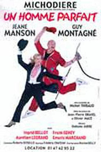 Un homme parfait movie poster