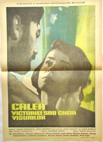 Calea Victoriei sau cheia visurilor movie poster