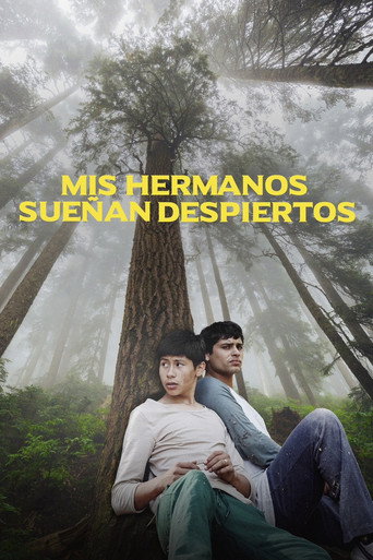 My Brothers Dream Awake movie poster