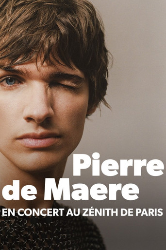 Pierre de Maere en concert au Zénith de Paris movie poster