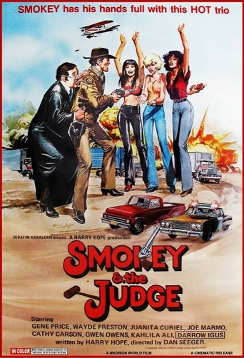 Smokey and the Judge movie poster