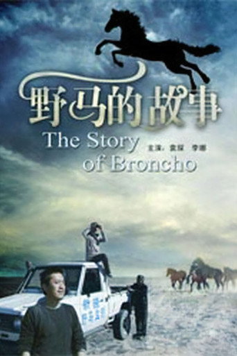 野马的故事 movie poster