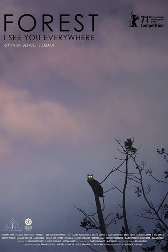 Forest: I See You Everywhere movie poster