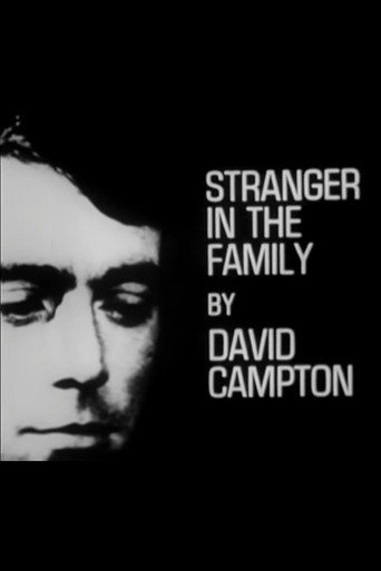 Stranger in the Family movie poster