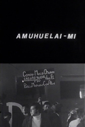 Amuhuelai-mi movie poster