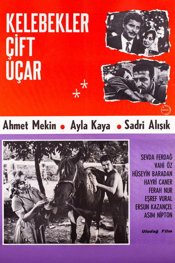 Kelebekler Çift Uçar movie poster