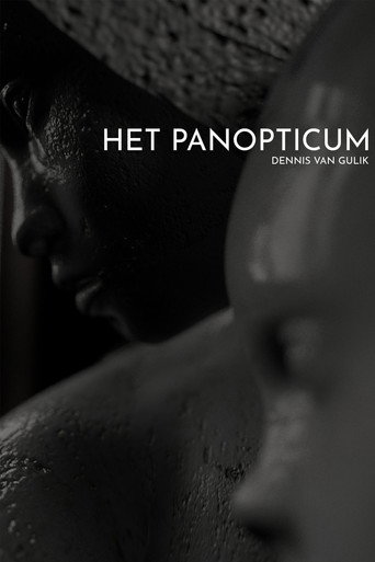Het Panopticum movie poster