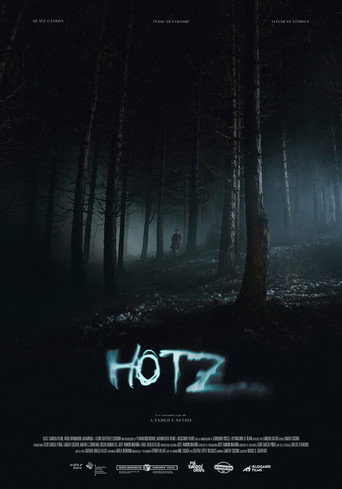 Hotz movie poster