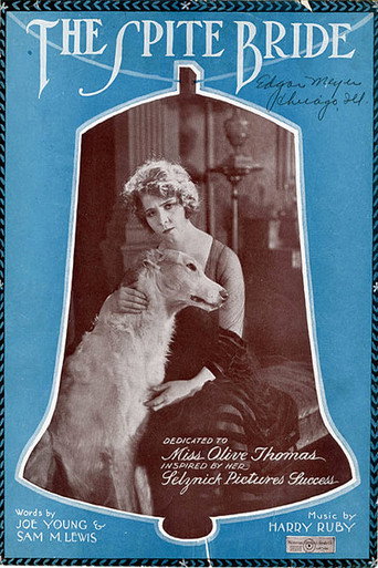 The Spite Bride movie poster