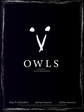 Owls movie poster